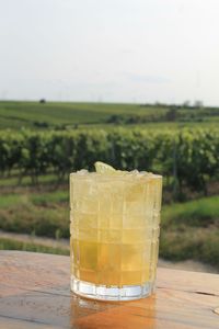 Caipirinha